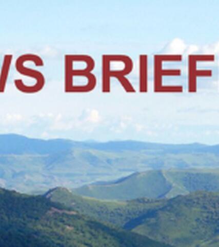 APGN-News-Briefing-No-9